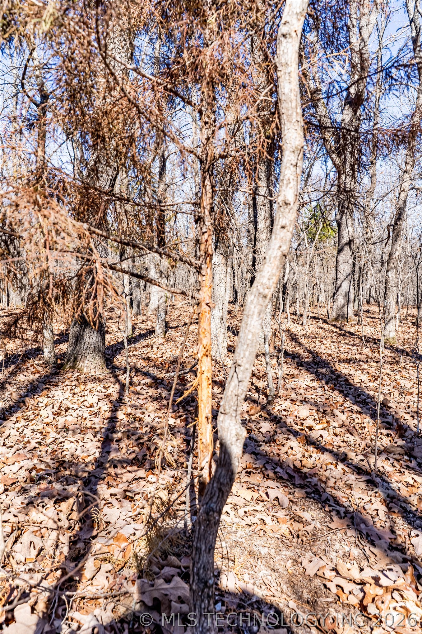 0000 N 3700 Road Boley OK 74829