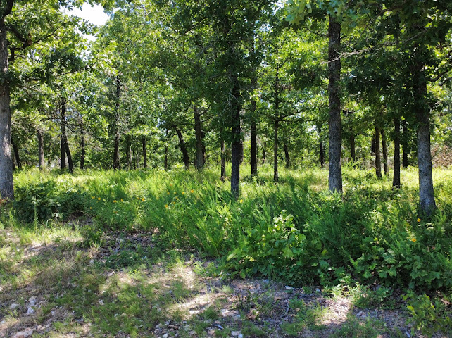 S Qualls Road Park Hill OK 74451