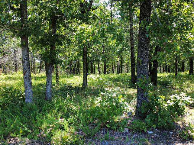 S Qualls Road Park Hill OK 74451