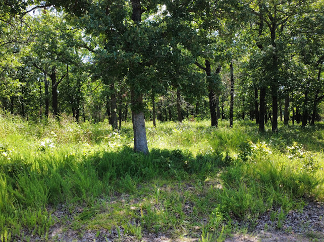 S Qualls Road Park Hill OK 74451