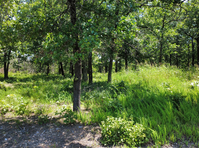 S Qualls Road Park Hill OK 74451