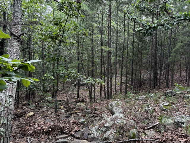 Boggy Mountain Road Red Oak OK 74563