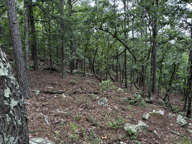 Boggy Mountain Road Red Oak OK 74563