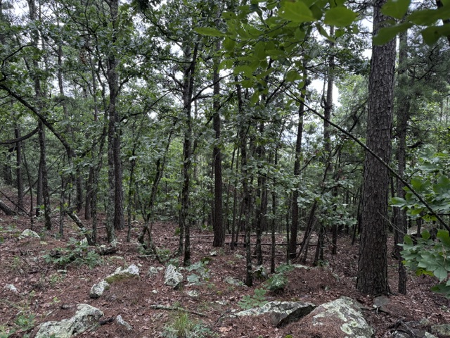 Boggy Mountain Road Red Oak OK 74563