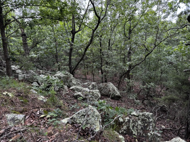 Boggy Mountain Road Red Oak OK 74563