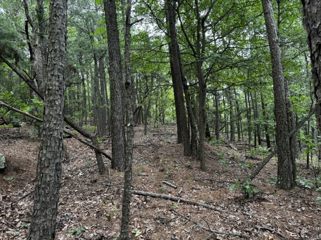 Boggy Mountain Road Red Oak OK 74563