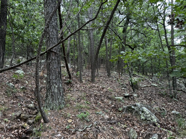 Boggy Mountain Road Red Oak OK 74563