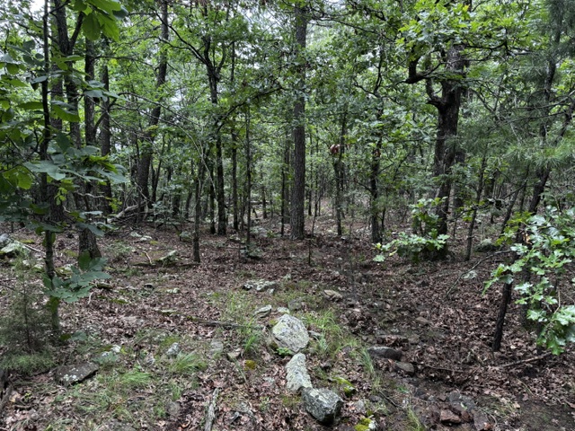 Boggy Mountain Road Red Oak OK 74563