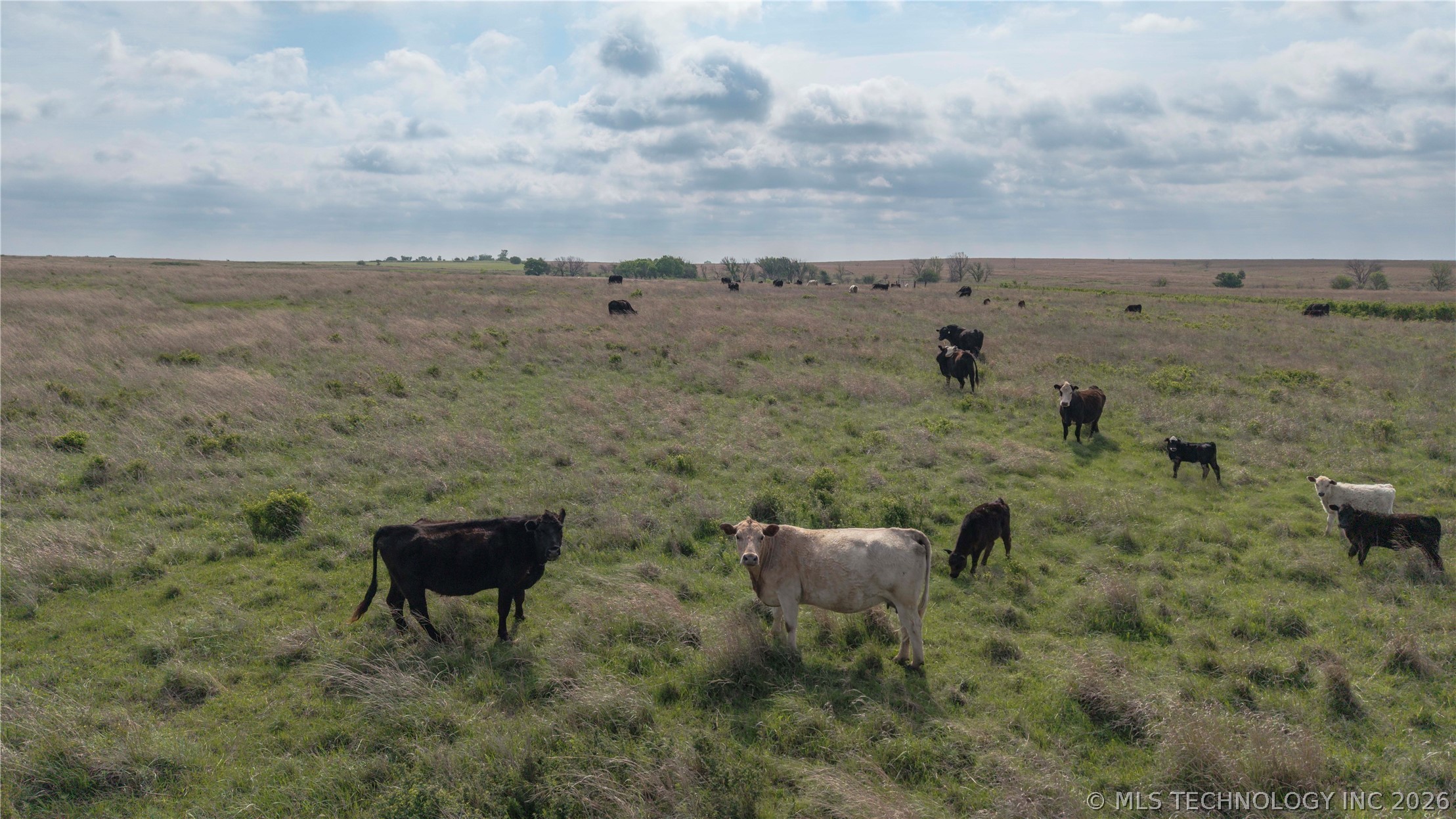 0004 E 4500 Road Pawnee OK 73061