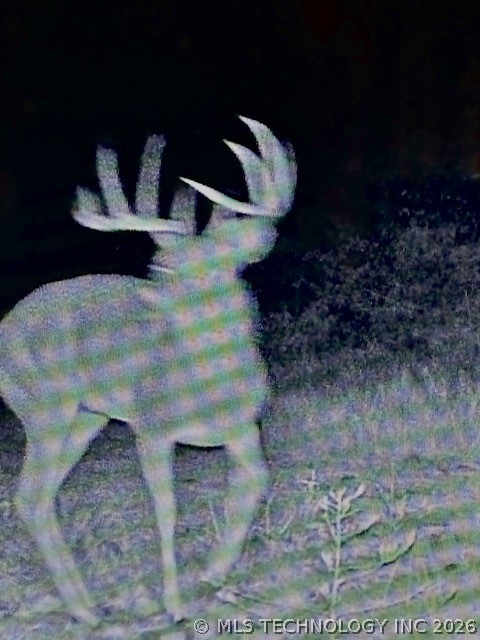 193630 N 4270 Road Antlers OK 74523