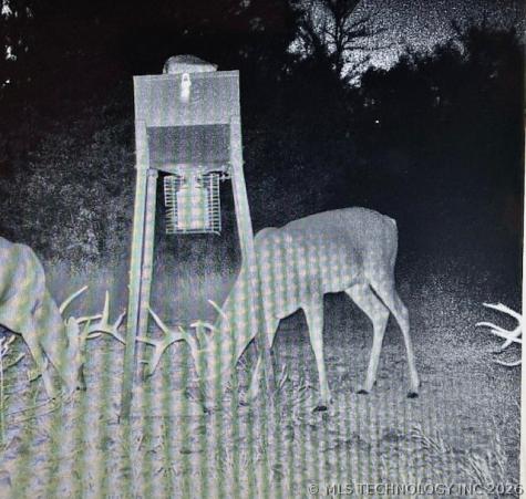 193630 N 4270 Road Antlers OK 74523