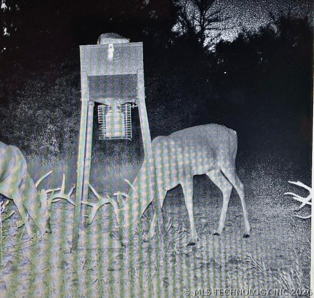 193630 N 4270 Road Antlers OK 74523