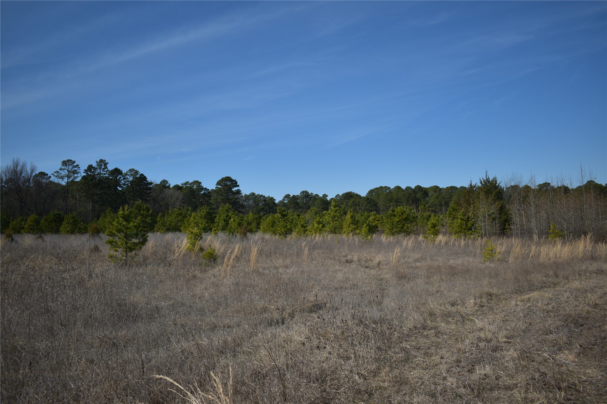 532 N 4360 Road Fort Towson OK 74735