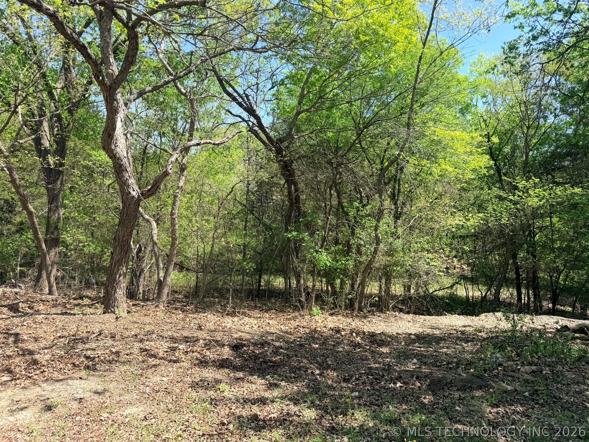 280 Cedar Blue Sulphur OK 73086