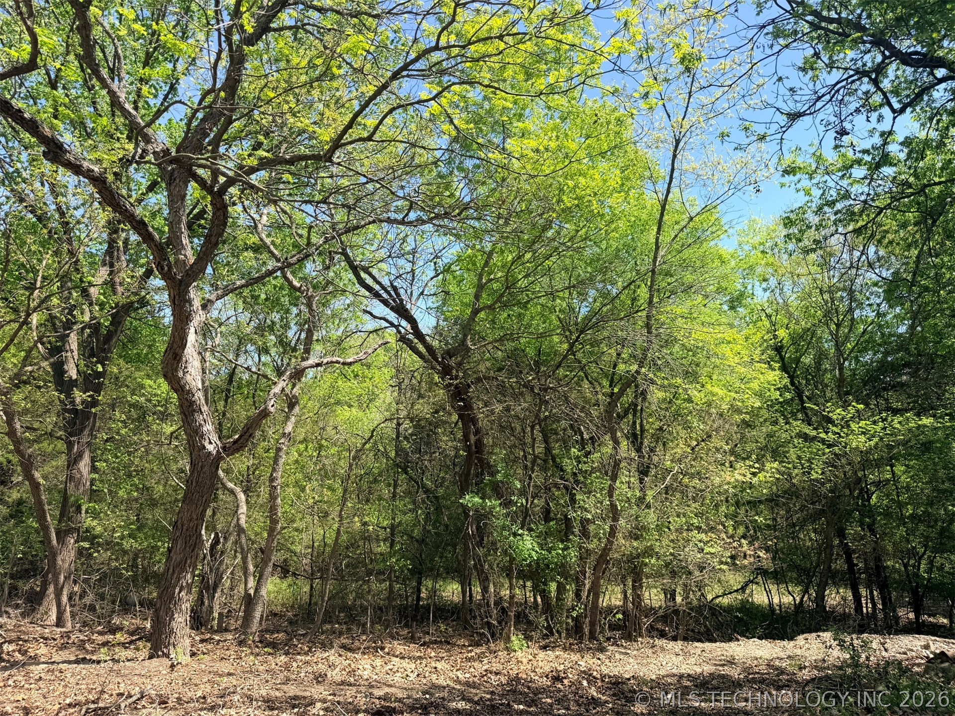 280 Cedar Blue Sulphur OK 73086