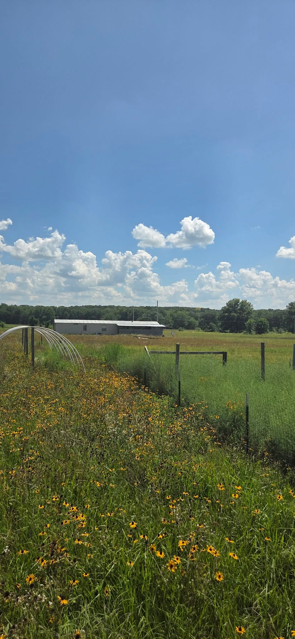 435230 E 240 Road Vinita OK 74301
