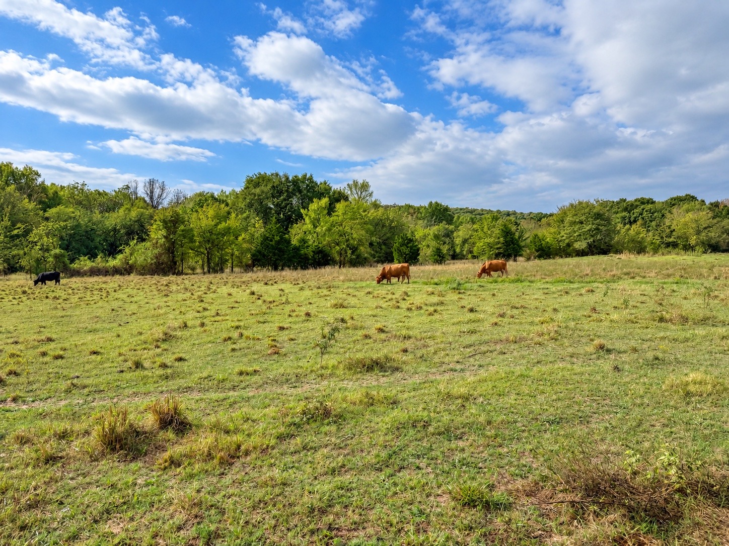 22985 S 155th Street E Webbers Falls OK 74470