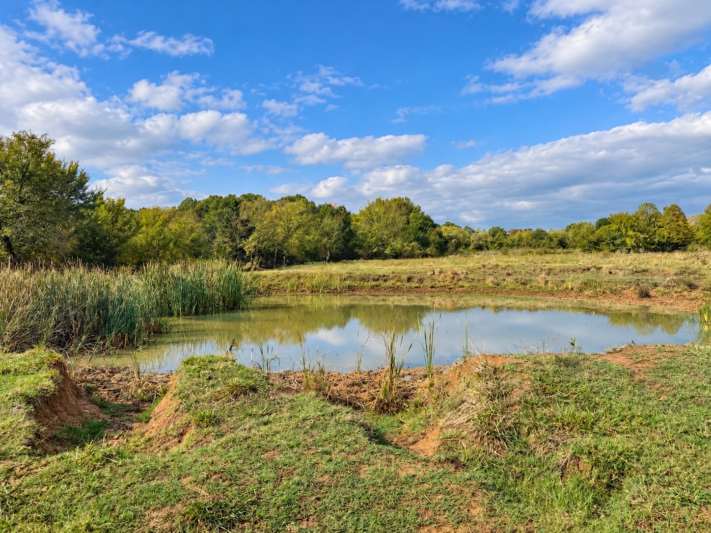 22985 S 155th Street E Webbers Falls OK 74470