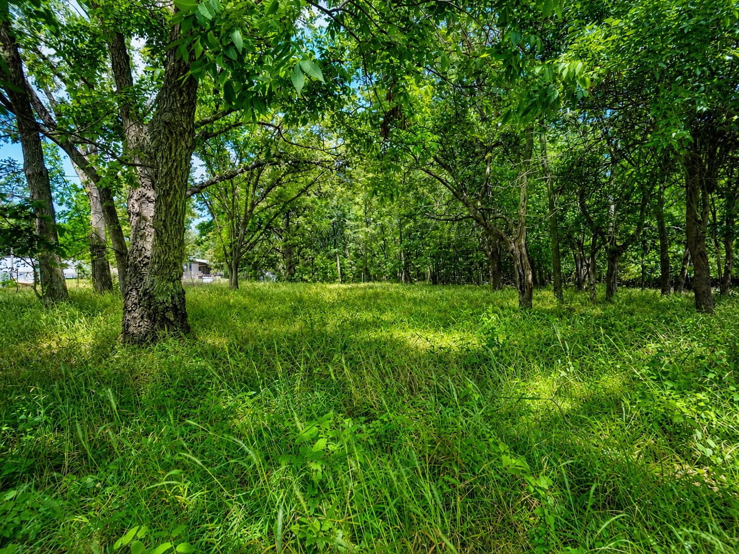 302 N Avenue Wapanucka OK 73461