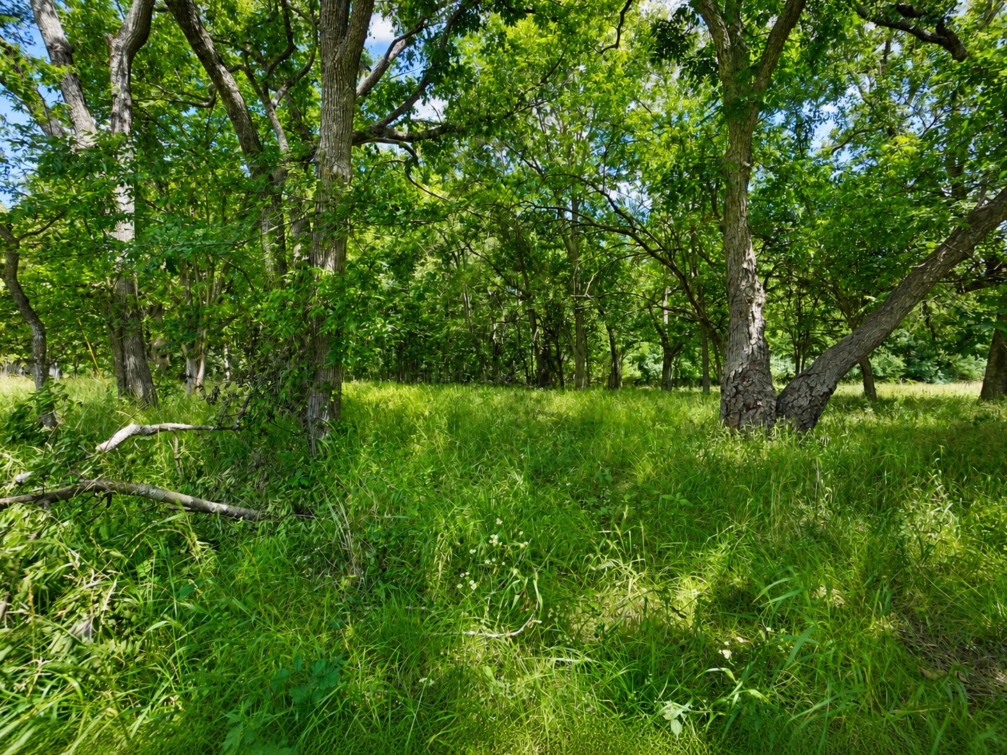 302 N Avenue Wapanucka OK 73461