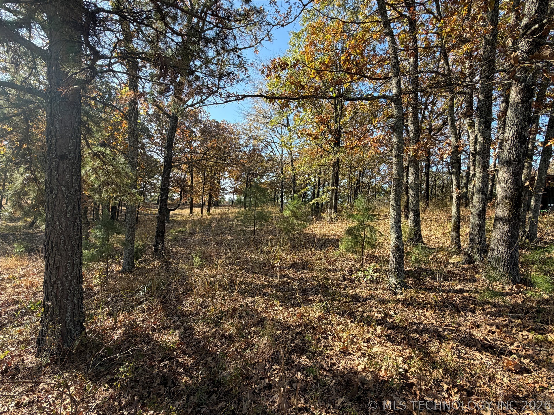 15568 Hwy 109a Highway Boswell OK 74727