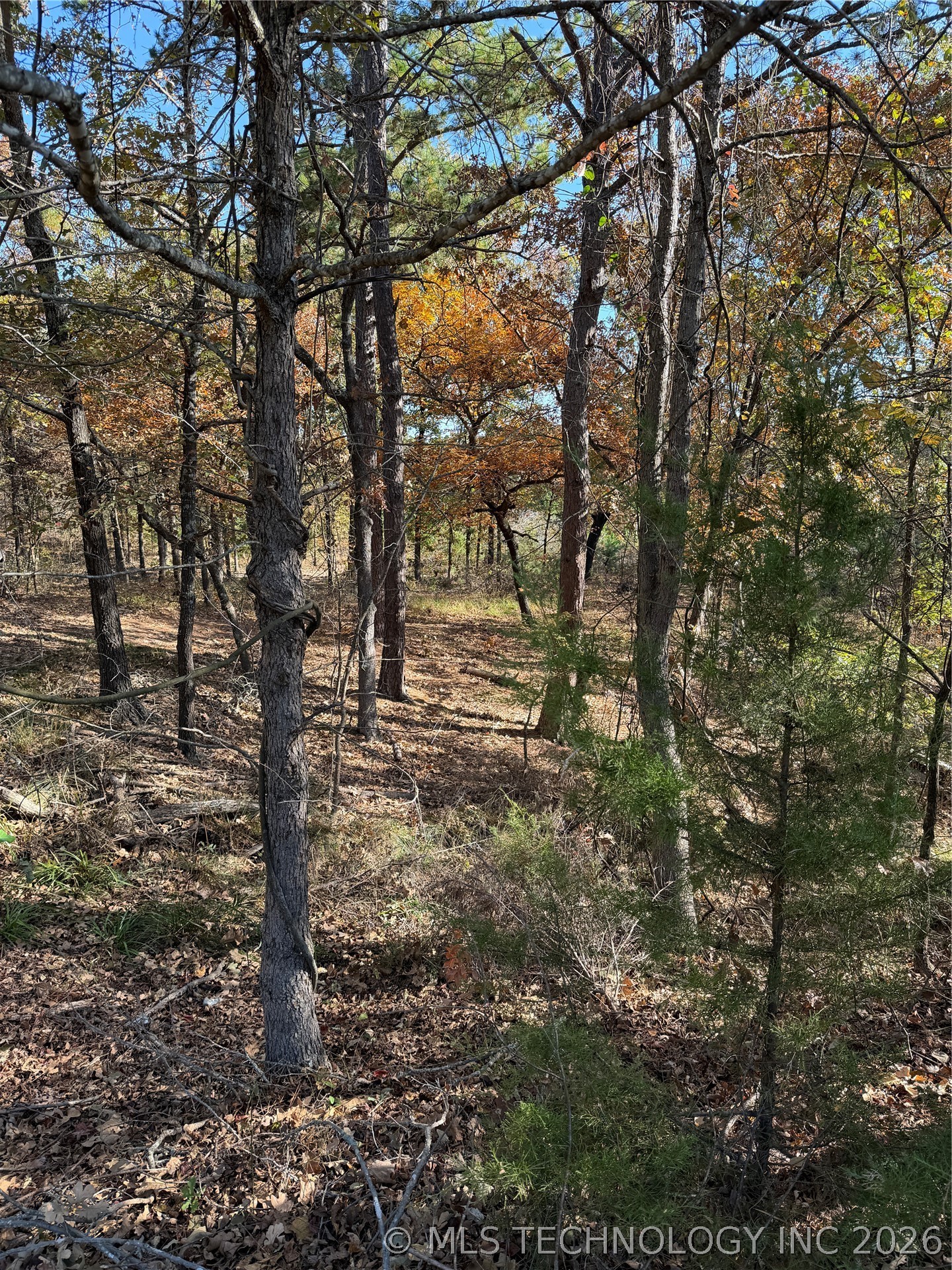 15568 Hwy 109a Highway Boswell OK 74727