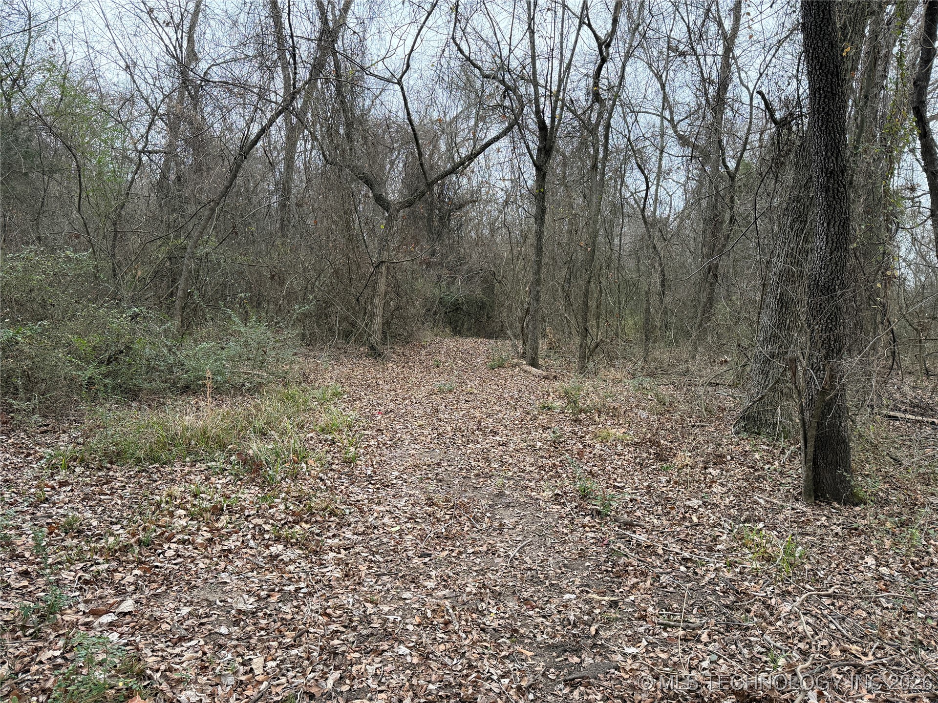 1489 Forest Lane Durant OK 74701