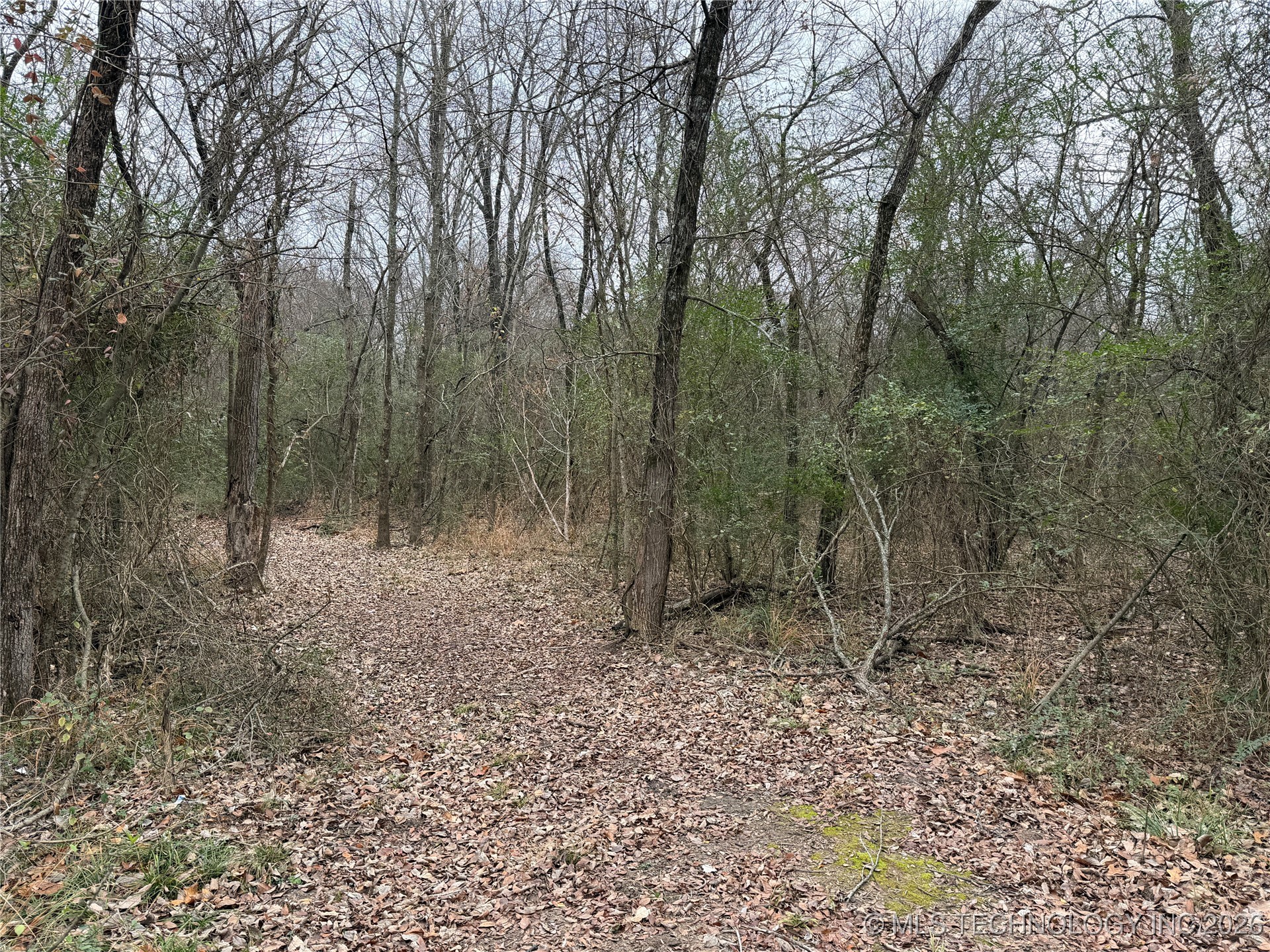 1489 Forest Lane Durant OK 74701