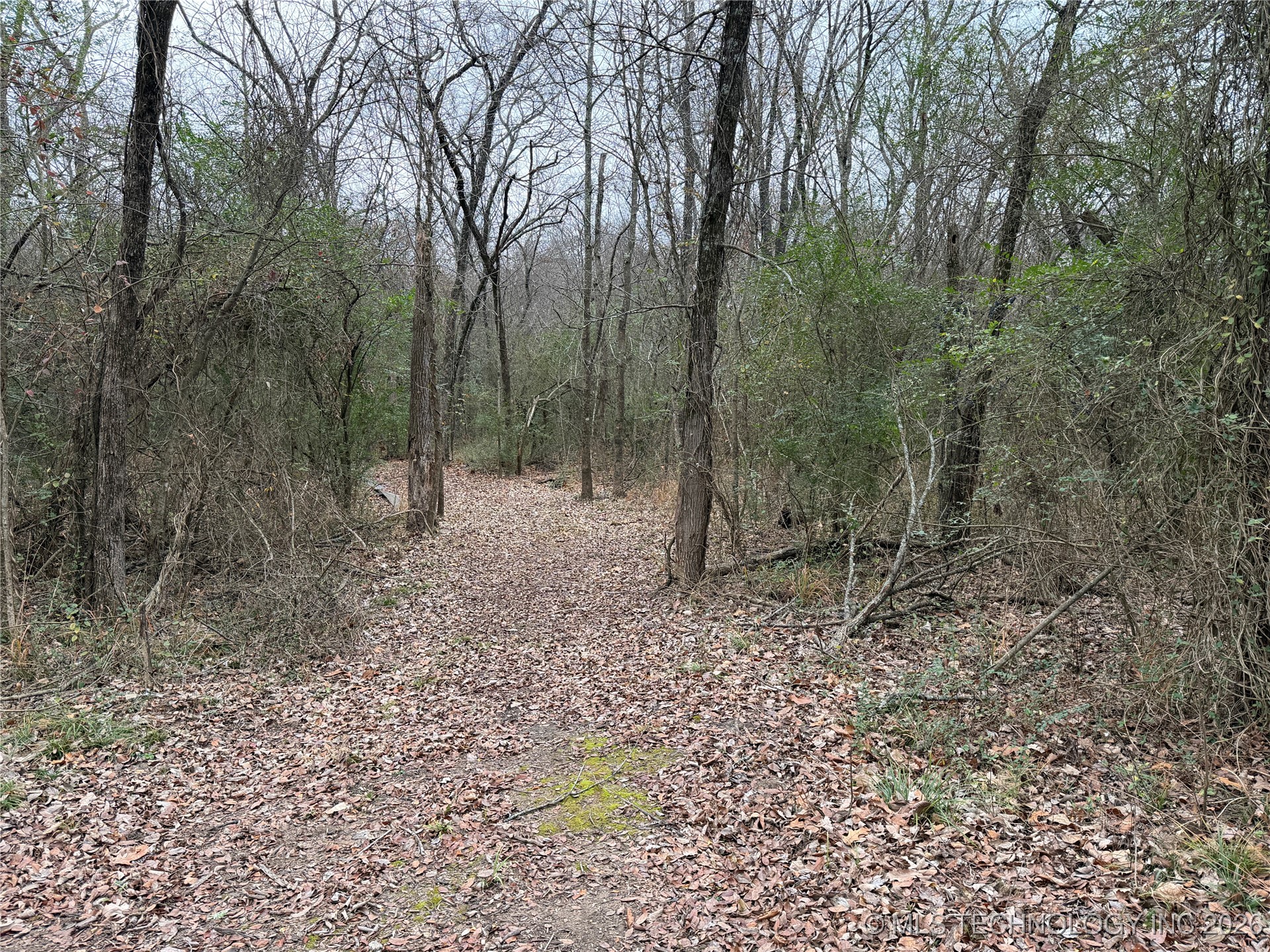 1489 Forest Lane Durant OK 74701