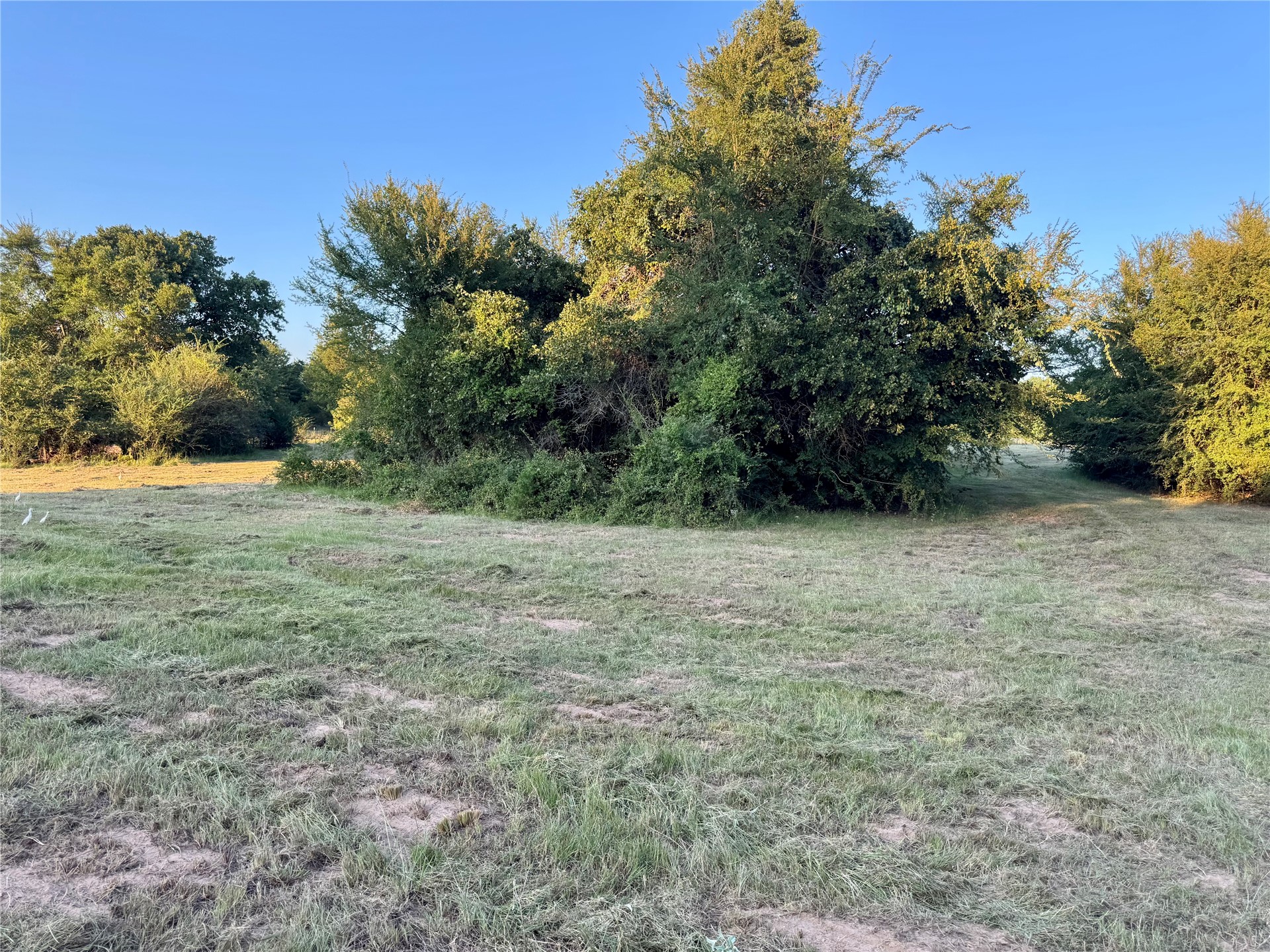 236 Reaves Road Cartwright OK 74731