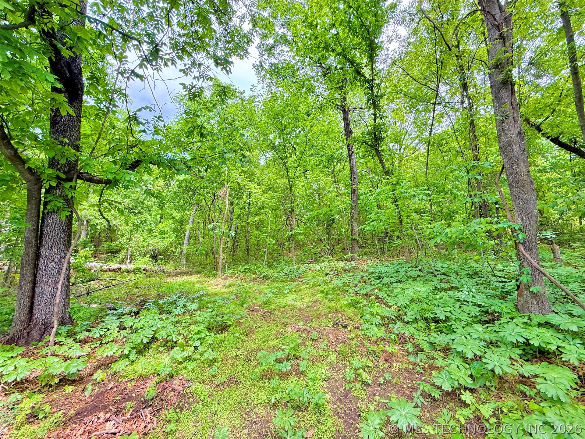 414023 E 1213 Road Eufaula OK 74432