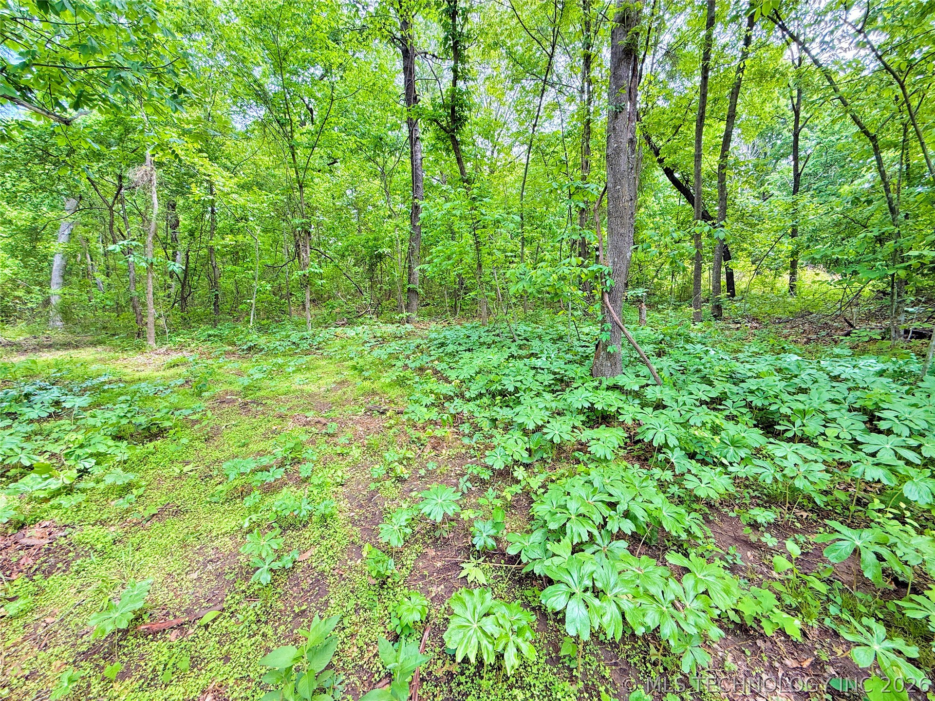 414023 E 1213 Road Eufaula OK 74432