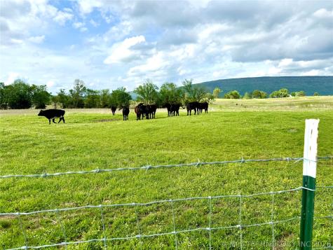 6565 SE 235th Road Buffalo Valley OK 74571