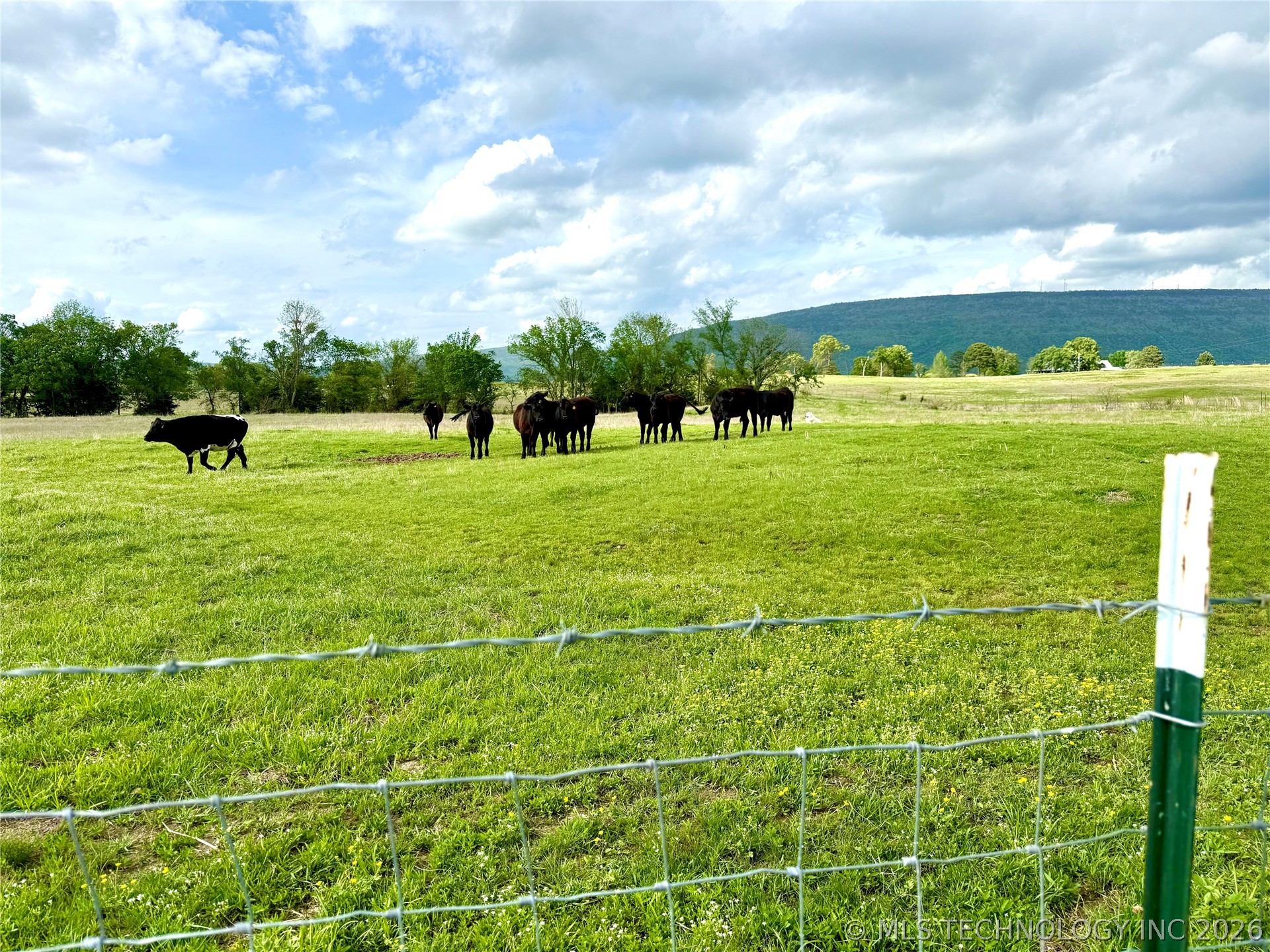 6565 SE 235th Road Buffalo Valley OK 74571