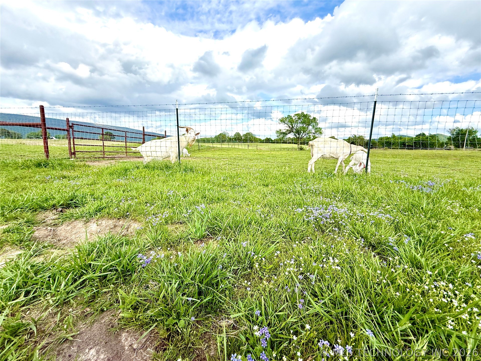 6565 SE 235th Road Buffalo Valley OK 74571