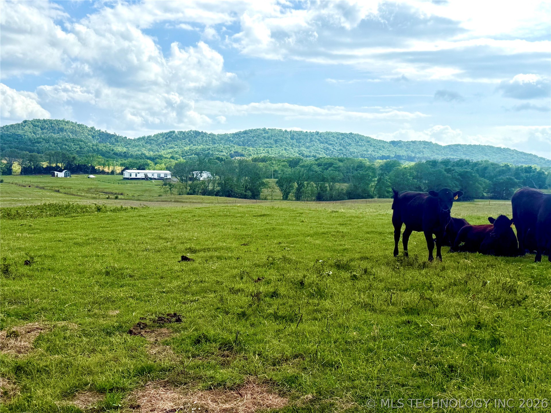 6565 SE 235th Road Buffalo Valley OK 74571