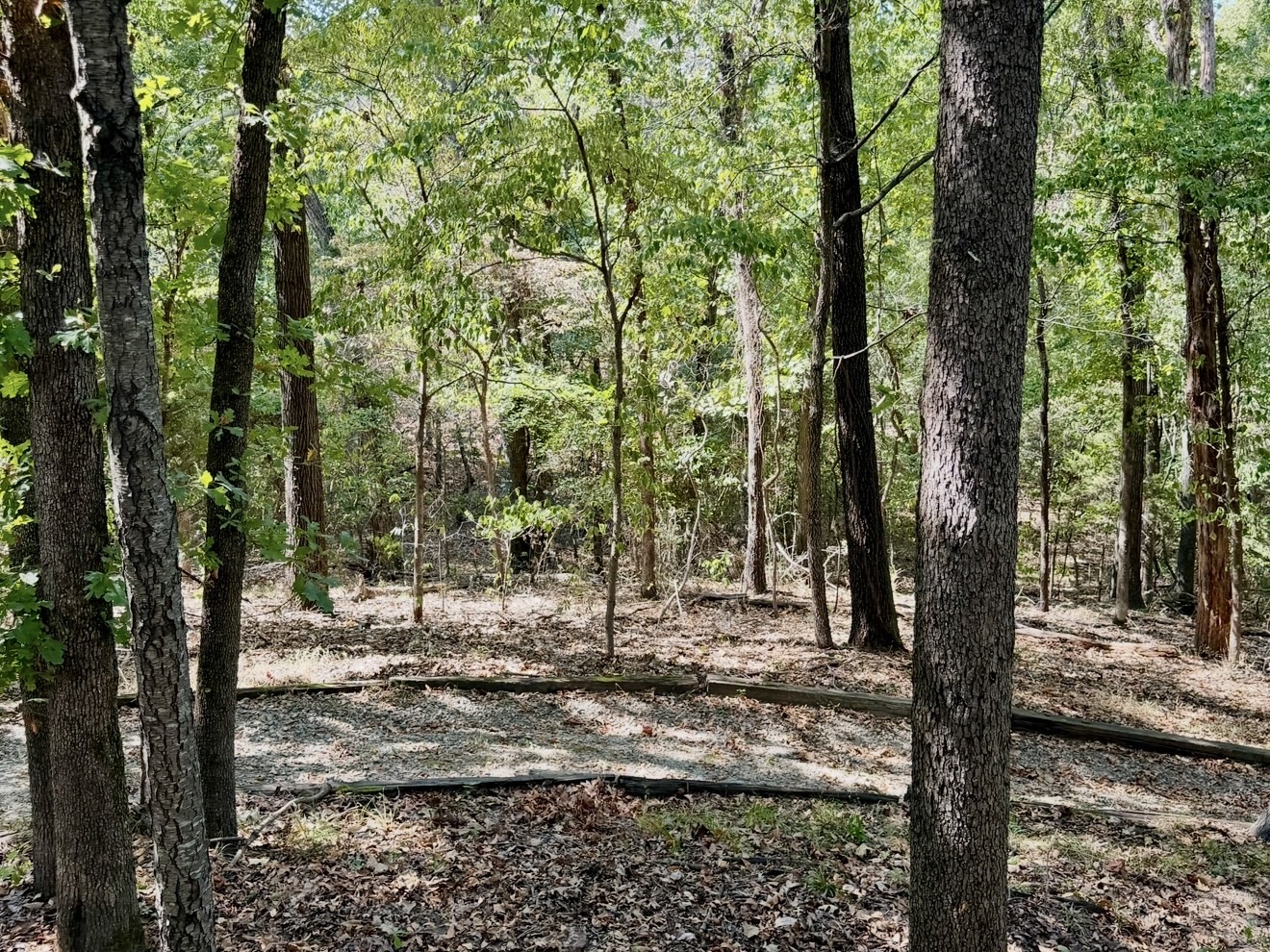 427595 E 1152 Road Checotah OK 74426