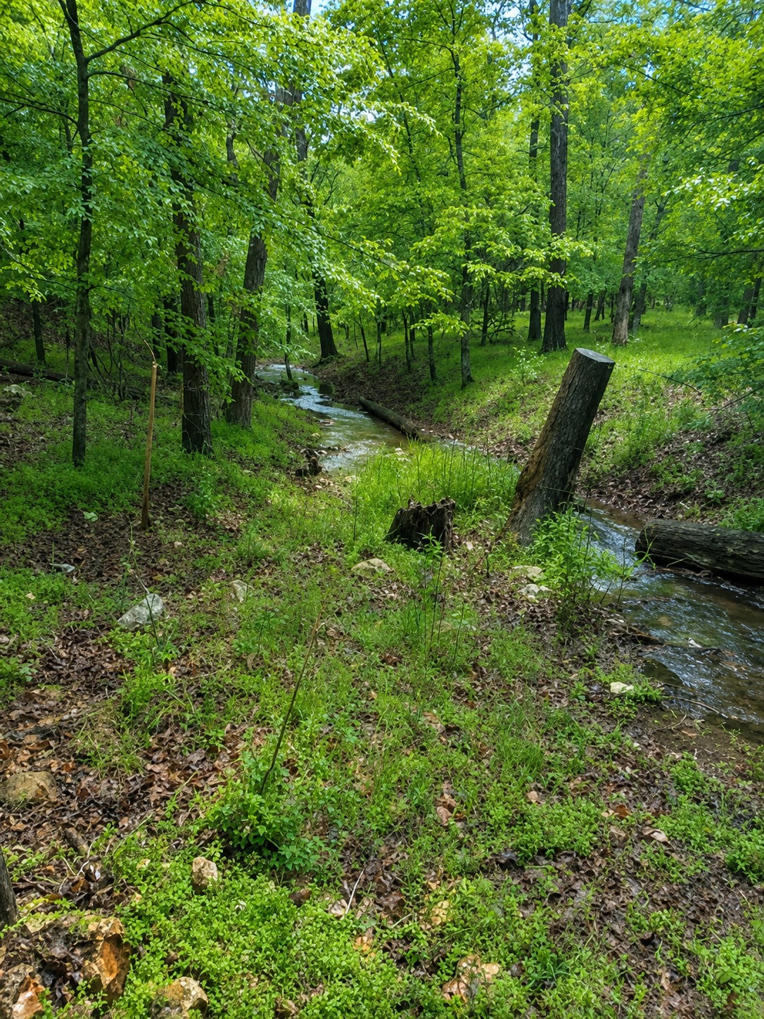 6599 E 480 Road Salina OK 74365