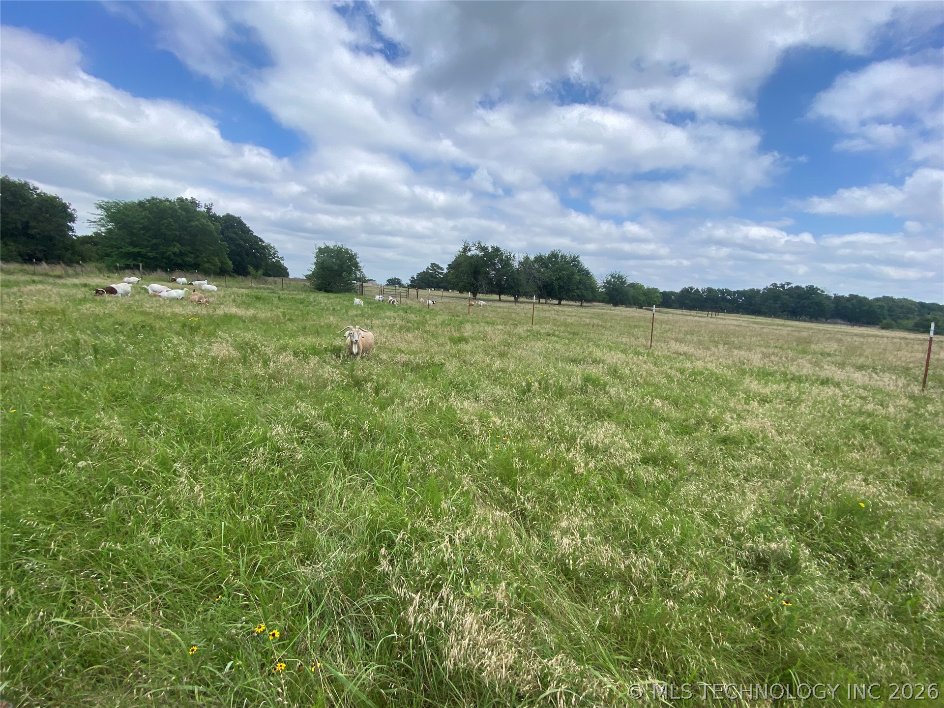 2216 Bristol Road Wilson OK 73463