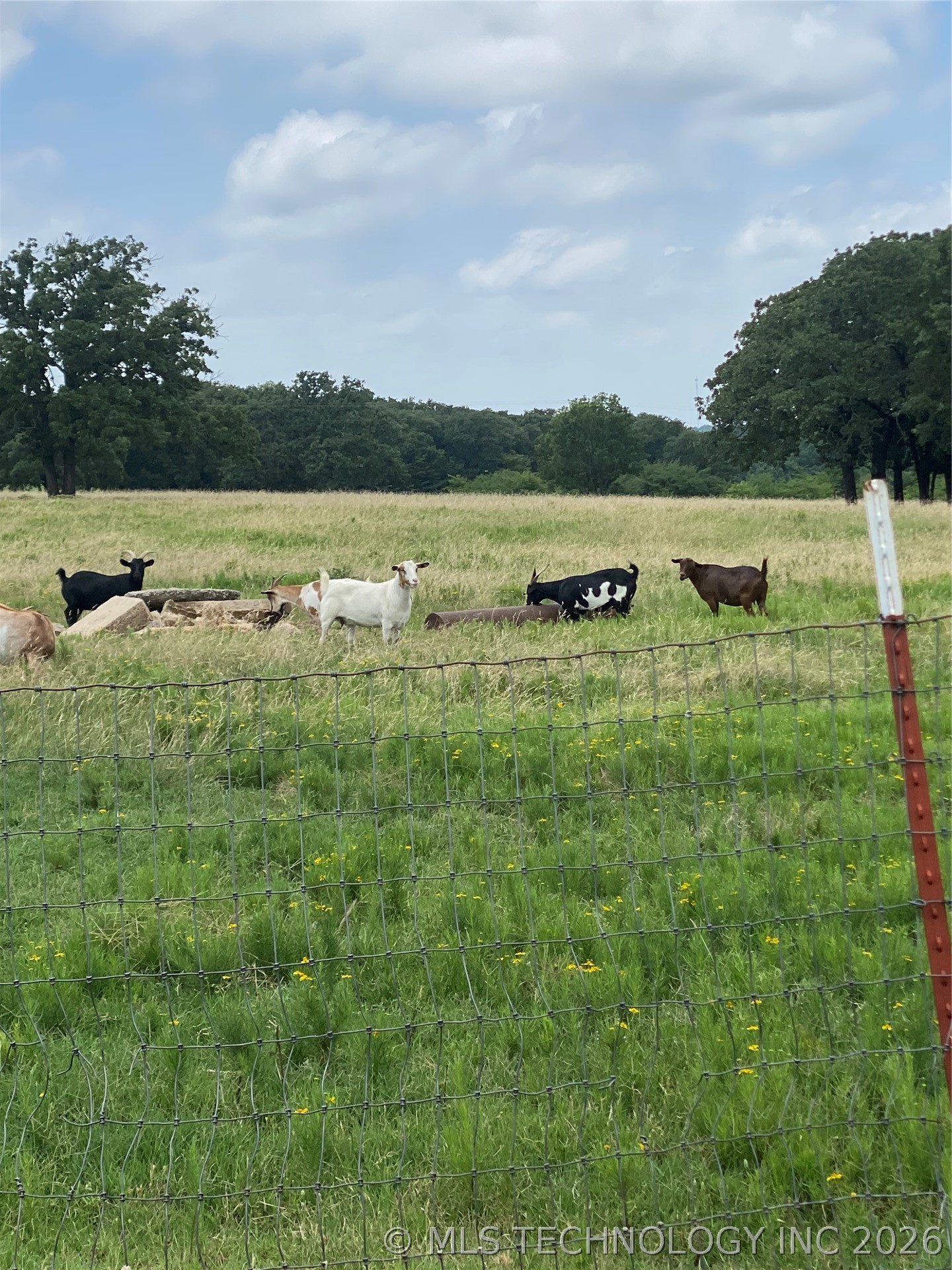 2216 Bristol Road Wilson OK 73463