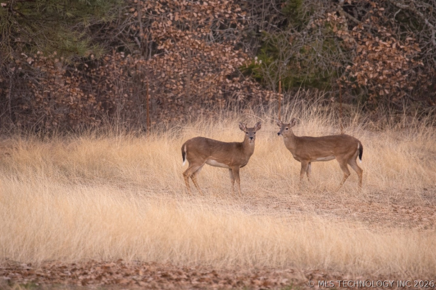 8412 Texoma Hills Road Kingston OK 73439