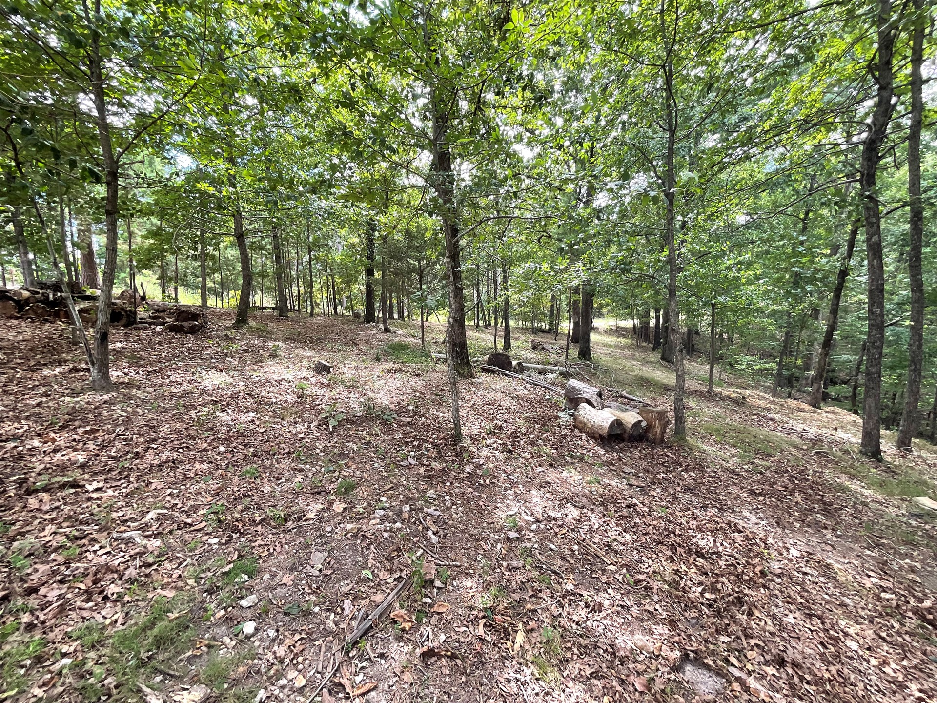 16191 Black Walnut Road Kansas OK 74347