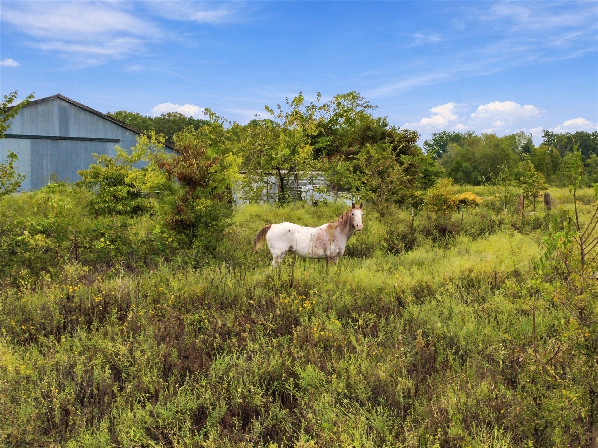 394107 E 1150 Road Weleetka OK 74880