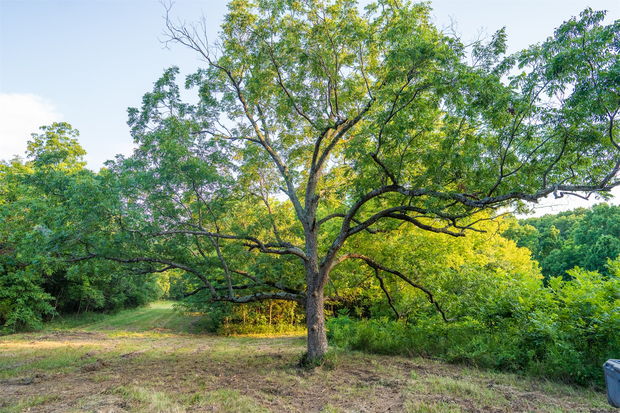 15290 E 400 Road Claremore OK 74017