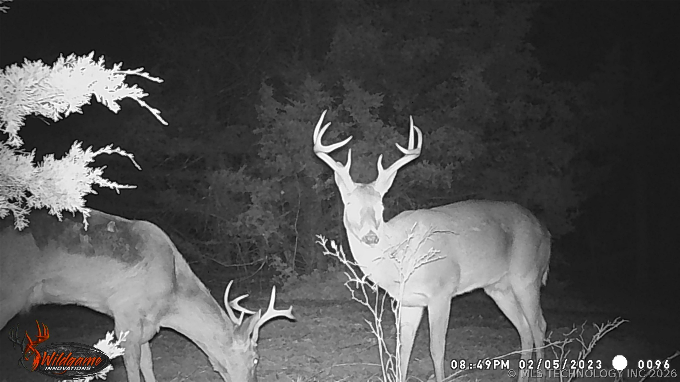 34964 W Green Road Mannford OK 74044