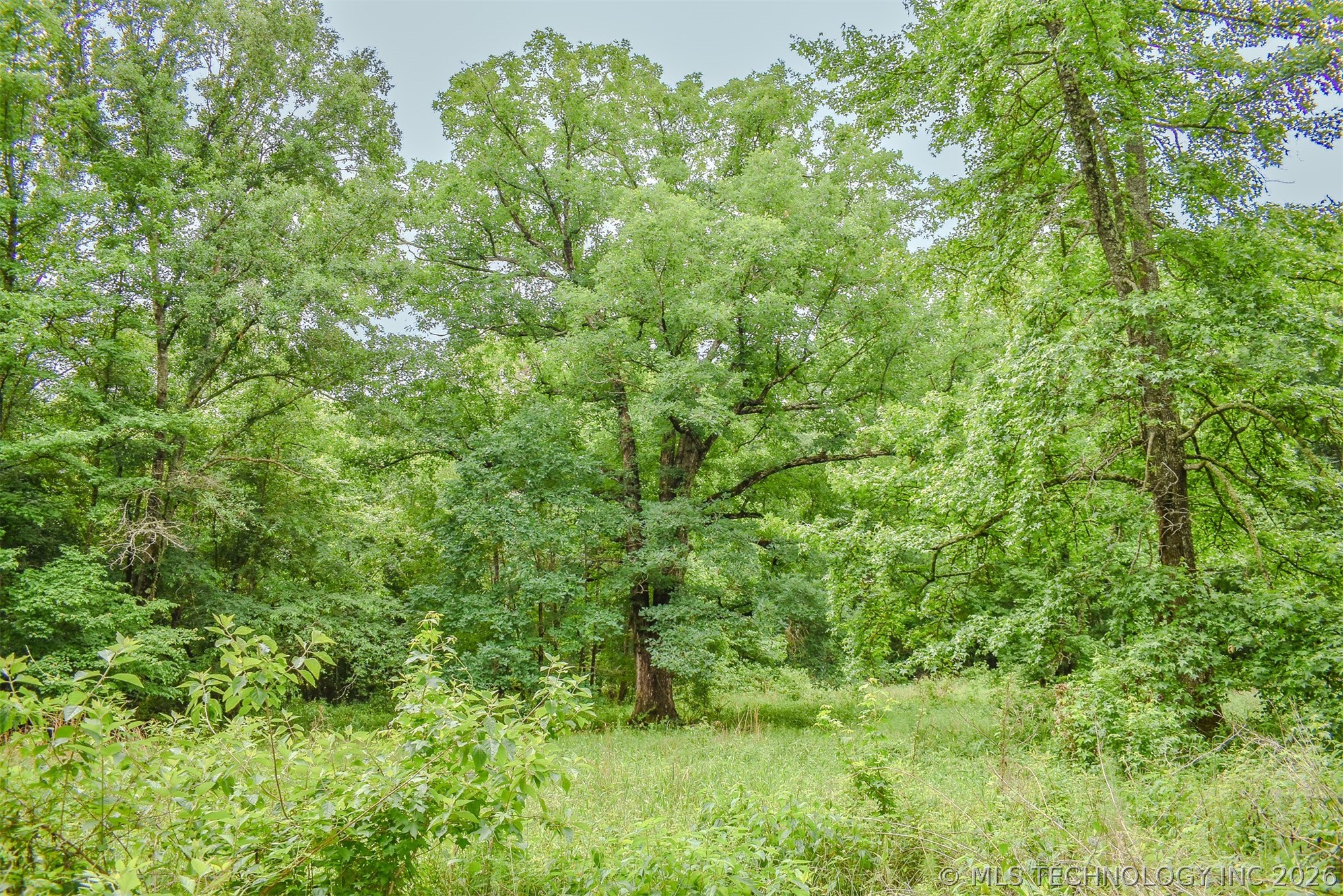 593 Tram Road Fort Towson OK 74735