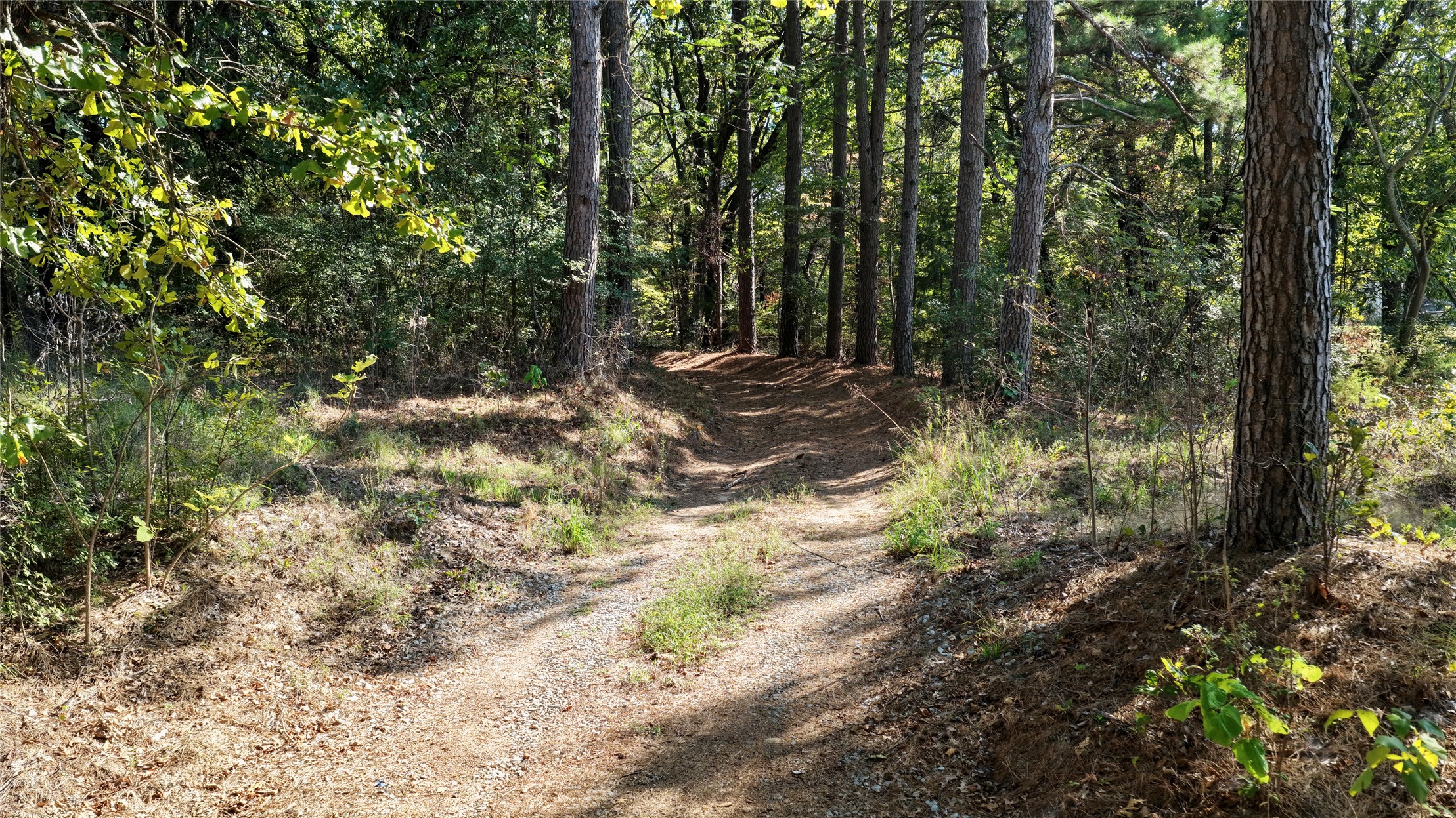 426098 Texanna Road Checotah OK 74426