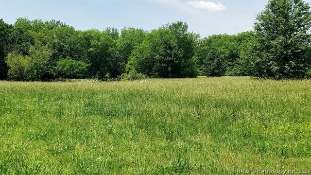 30504 S Peaceful Valley Road Inola OK 74036