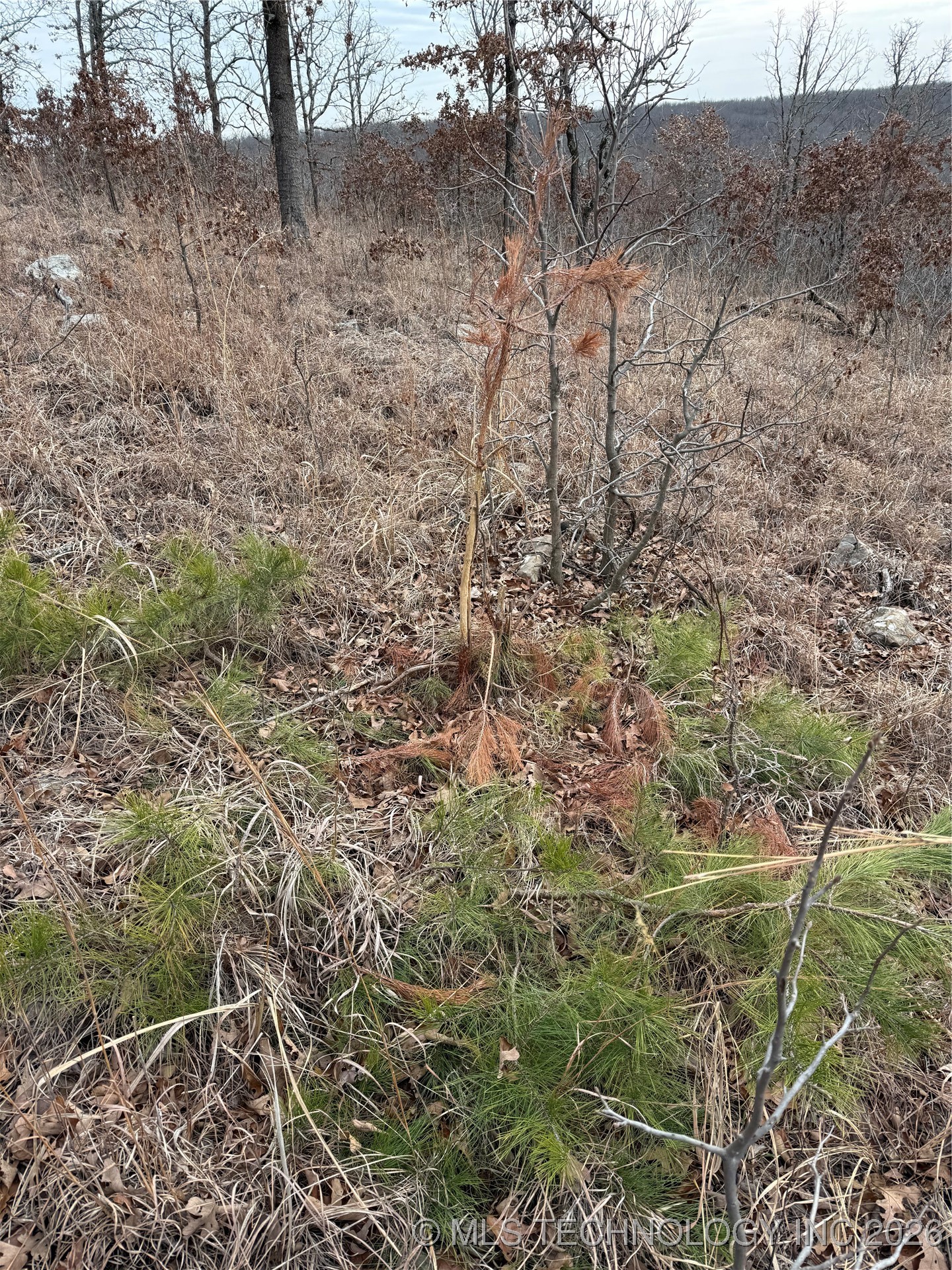 98893 S 4540 Road Vian OK 74962