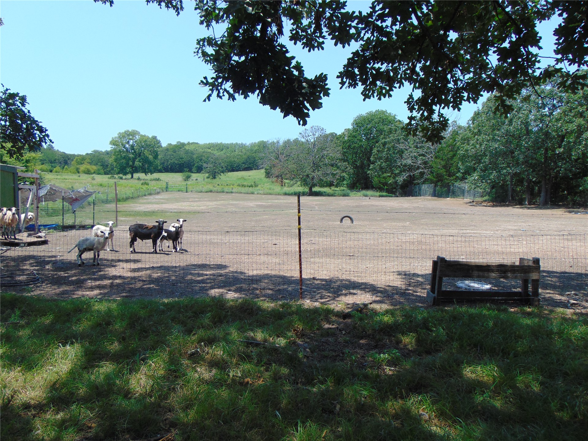 447 Ranch Stringtown OK 74569